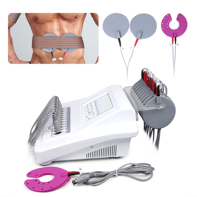BIO Microcurrent grosse machine de régime de massage de sein de l'électrothérapie SME DFC de réduction de MS-JS2000B bio